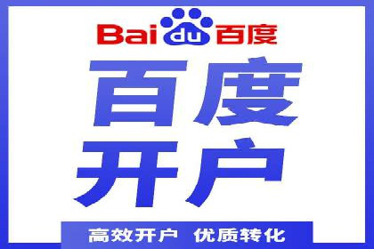 网络推广与竞价策略实战案例